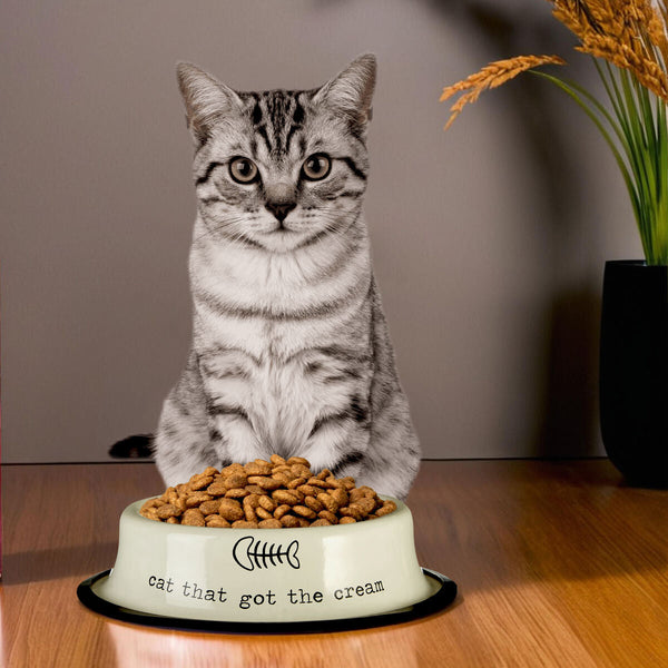 Adore Pets 0.4Ltr Cat That Got The Cream Bowl