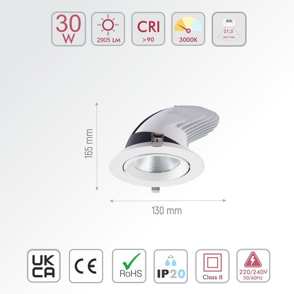 LED Accent Performance Swivel and Scoop Tilt Recessed Downlight CRI90 White