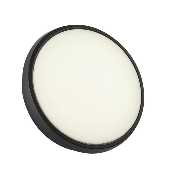 Black Ring Moonlight Outdoor Modern LED Wall Light