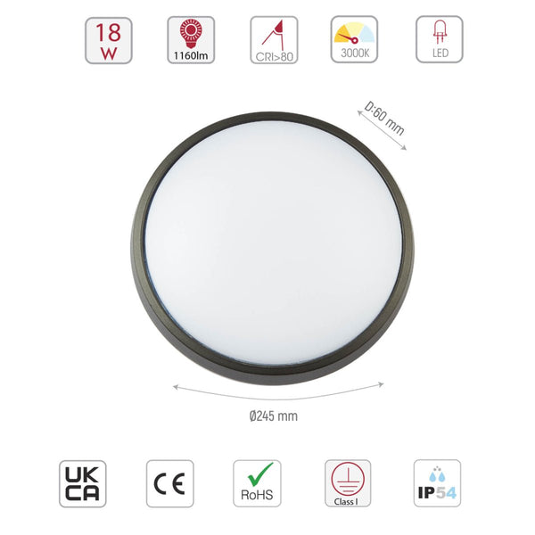 Black Ring Moonlight Outdoor Modern LED Wall Light