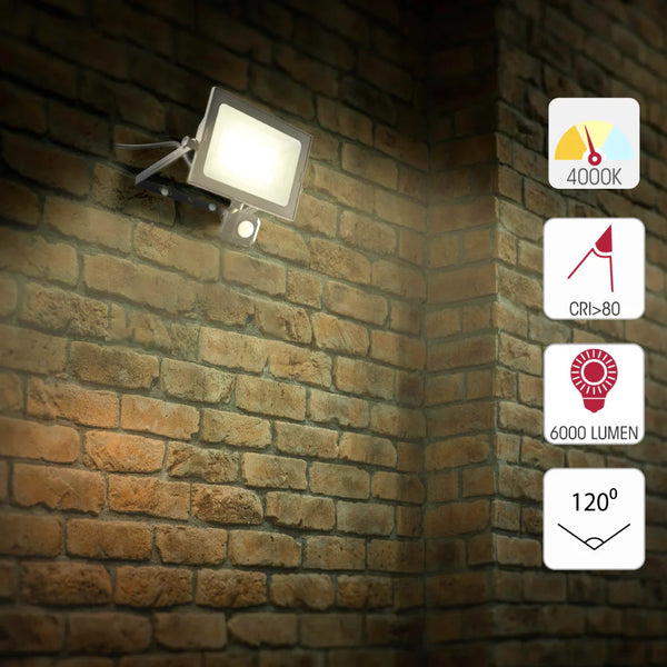 Apollo Security Flood Light with PIR Motion Sensor 4000K Cool White IP65