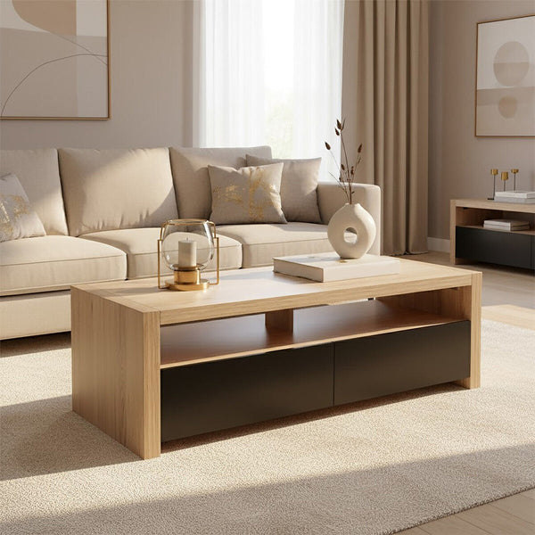 Loki 2 Drawers And 1 Shelf Coffee Table