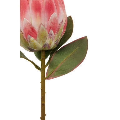 Fiori 62cm Protea Pink Stem