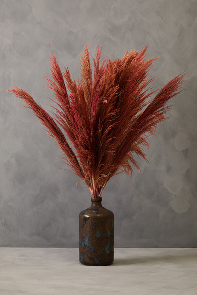 Fiori Pink Stem Pampas Grass