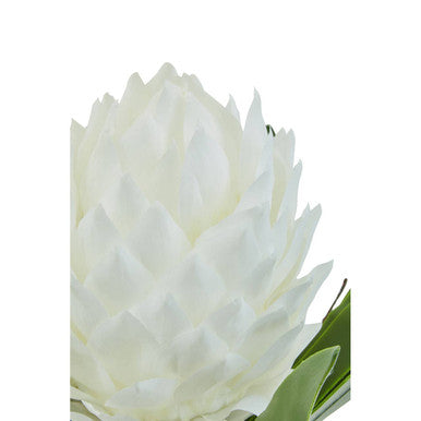 Fiori White Tropical Plant in Black Pot