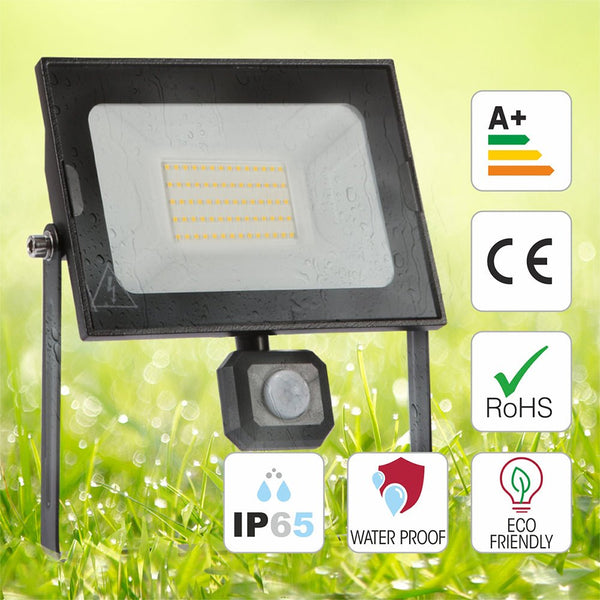 Pegasus Flood Light with PIR Motion Sensor 4000K Cool White IP65