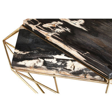 Rustic Dark Petrified Wood Coffee Table with Gold Brass Geometric Frame | Relic