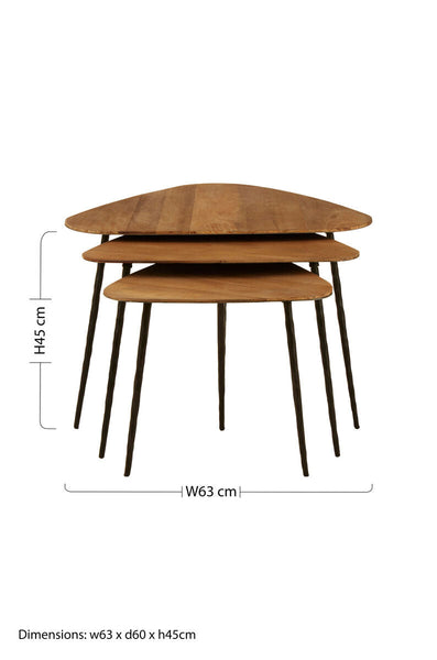 Black and Brown Elm Wood Top Nest of 3 Triangular Tables with Black Iron Legs | Elmo