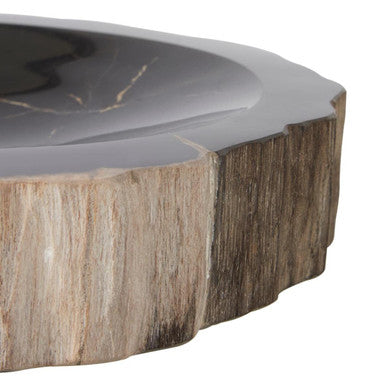 Relic Petrified Wood Bowl
