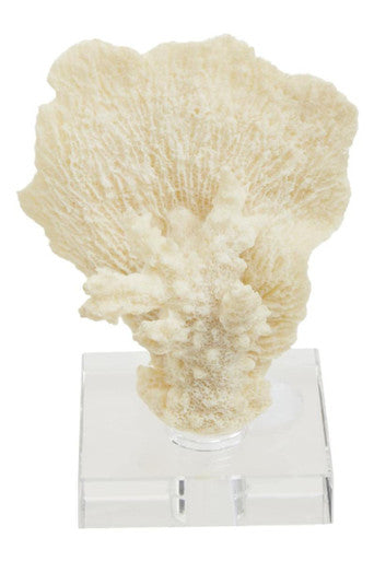 Boho Small White Coral Decor
