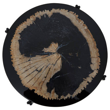 Black Petrified Wood Top Side Table with Cross-Base Legs | Relic
