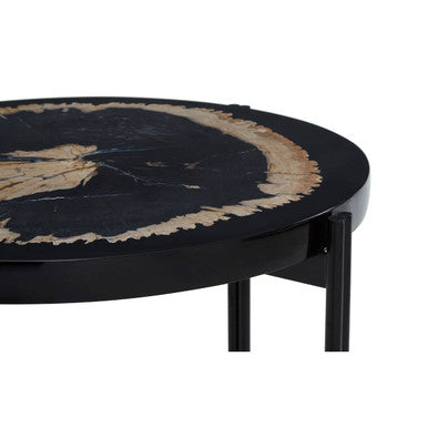 Black Petrified Wood Top Side Table with Cross-Base Legs | Relic