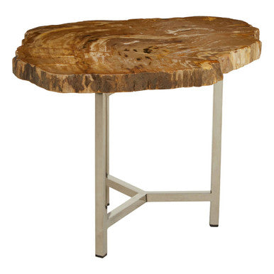 Natural Small Rustic Petrified Wood Top Side Table with Silver Finish Metal Frame | Relic