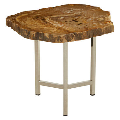 Natural Small Rustic Petrified Wood Top Side Table with Silver Finish Metal Frame | Relic