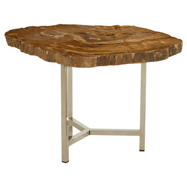 Natural Small Rustic Petrified Wood Top Side Table with Silver Finish Metal Frame | Relic