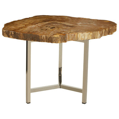 Natural Small Rustic Petrified Wood Top Side Table with Silver Finish Metal Frame | Relic