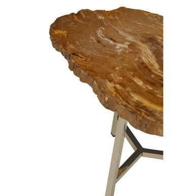 Natural Small Rustic Petrified Wood Top Side Table with Silver Finish Metal Frame | Relic