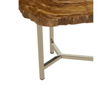 Natural Small Rustic Petrified Wood Top Side Table with Silver Finish Metal Frame | Relic