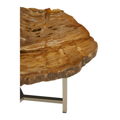 Natural Small Rustic Petrified Wood Top Side Table with Silver Finish Metal Frame | Relic