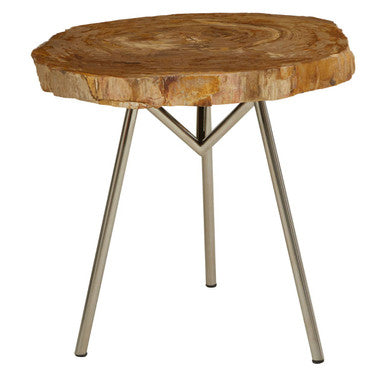 Natural Medium Rustic Petrified Wood Top Side Table with Silver Finish Metal Frame | Relic