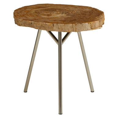 Natural Medium Rustic Petrified Wood Top Side Table with Silver Finish Metal Frame | Relic