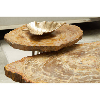 Natural Medium Rustic Petrified Wood Top Side Table with Silver Finish Metal Frame | Relic