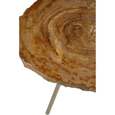 Natural Medium Rustic Petrified Wood Top Side Table with Silver Finish Metal Frame | Relic