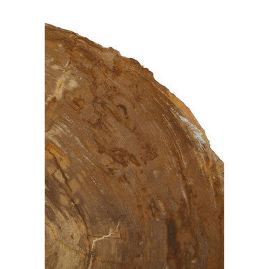 Natural Medium Rustic Petrified Wood Top Side Table with Silver Finish Metal Frame | Relic