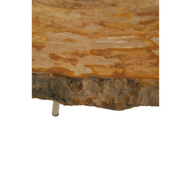Natural Medium Rustic Petrified Wood Top Side Table with Silver Finish Metal Frame | Relic
