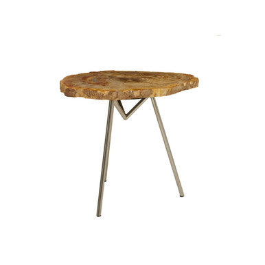 Relic Natural Petrified Wood Side Table with Live Edge