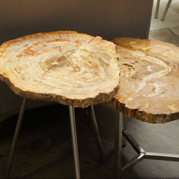Relic Natural Petrified Wood Side Table with Live Edge