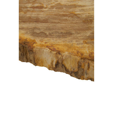 Relic Natural Petrified Wood Side Table with Live Edge