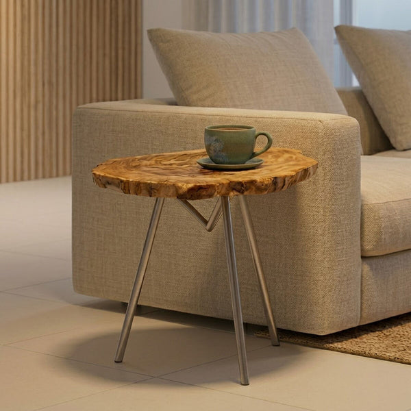 Relic Natural Petrified Wood Side Table with Live Edge