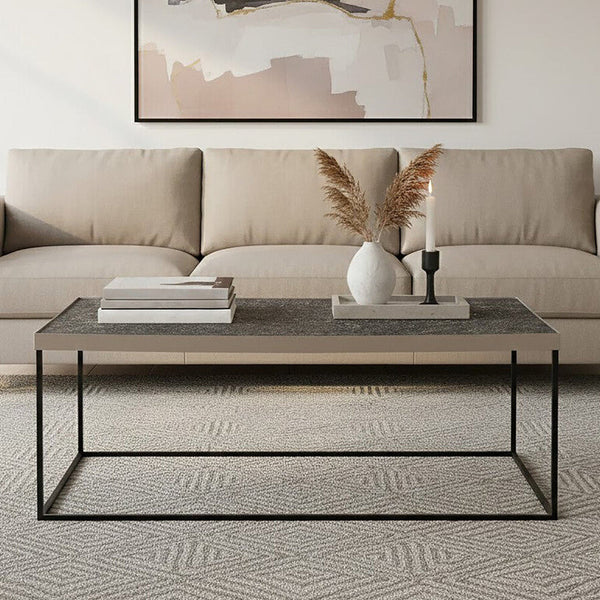 Akola Silver Metal and Glass Coffee Table with Black Legs