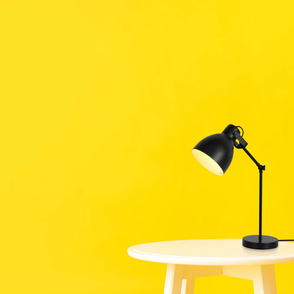 Adjustable Armature Desk Lamp