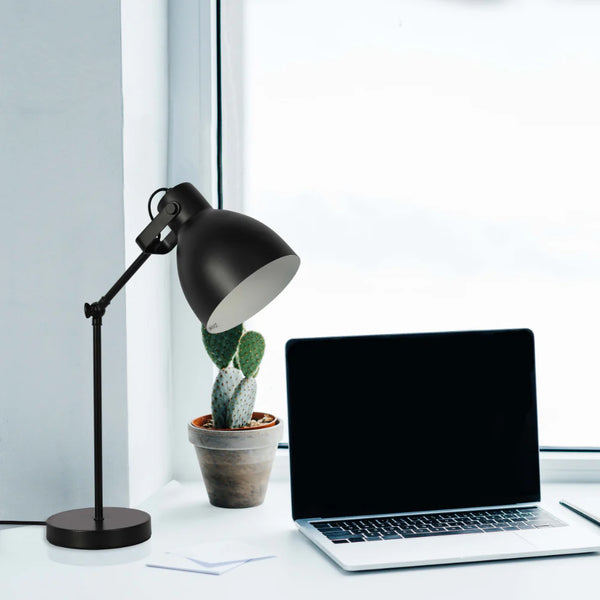 Adjustable Armature Desk Lamp