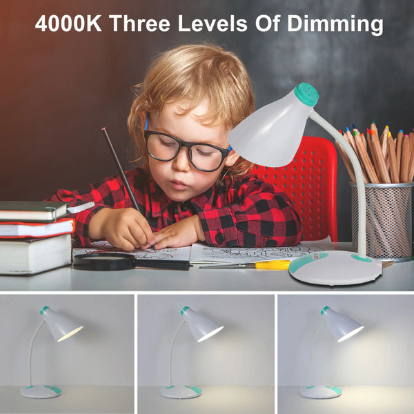 Adjustable Gooseneck LED Desk Lamp with Dual Colour Design
