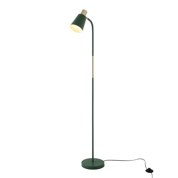 Bend Design Floor Lamp with Gold Accents - E27