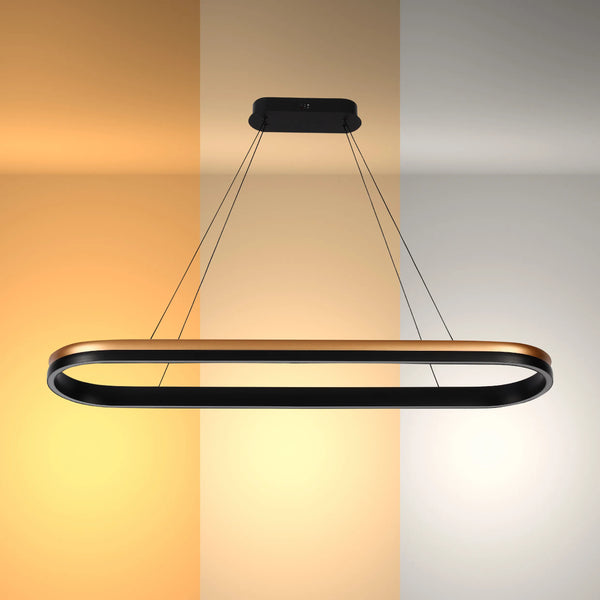 Black and Gold Modern LED Pendant Light - Single, Double, Triple Tier and Oblong