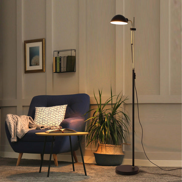 Black and Brass Floor Lamp with Domed Shade