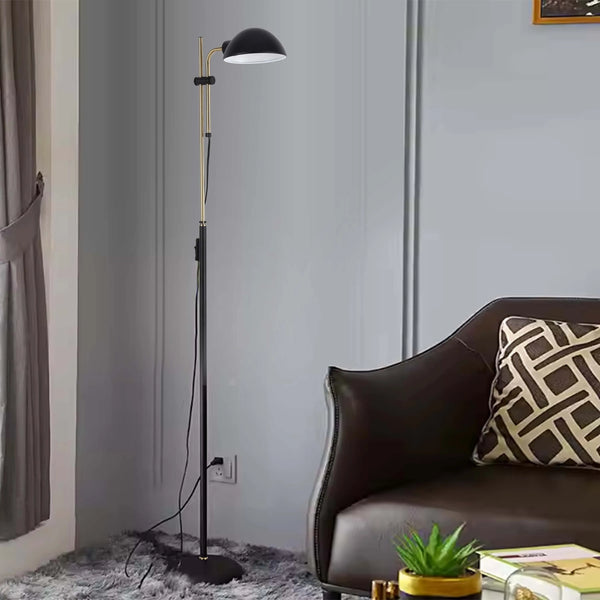 Black and Brass Floor Lamp with Domed Shade