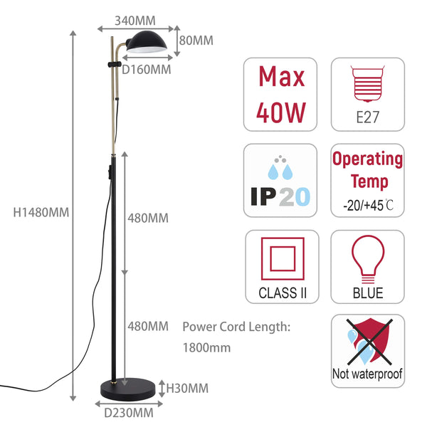 Black and Brass Floor Lamp with Domed Shade