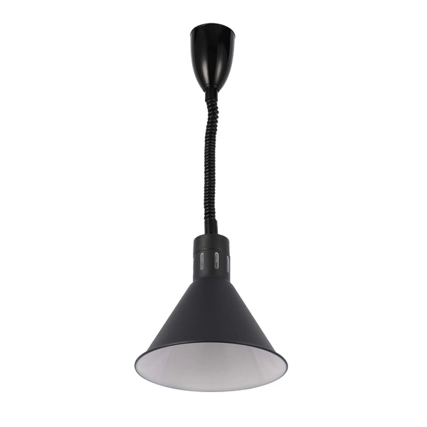 Black Pendant Light with Coiled Stem