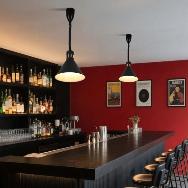 Black Pendant Light with Coiled Stem