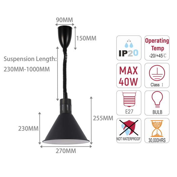 Black Pendant Light with Coiled Stem