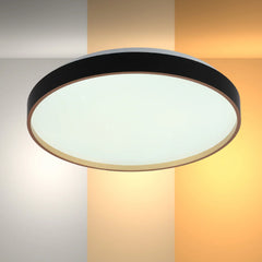 Elegant Contemporary Flush Mount LED Ceiling Light