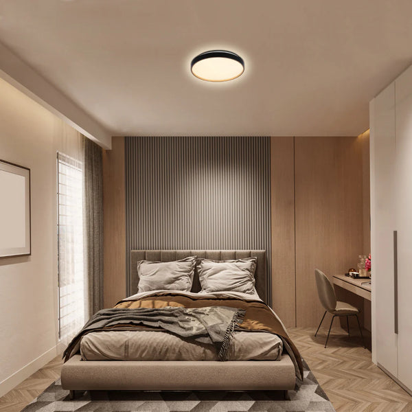 Elegant Contemporary Flush Mount LED Ceiling Light