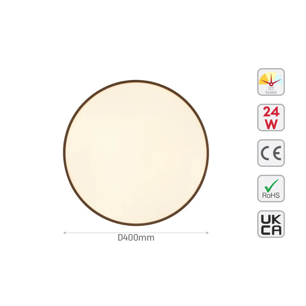 Elegant Contemporary Flush Mount LED Ceiling Light