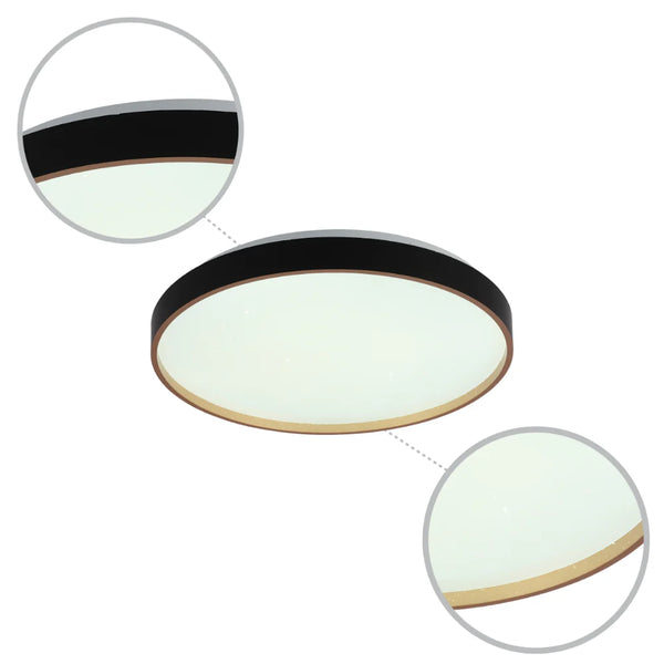 Elegant Contemporary Flush Mount LED Ceiling Light