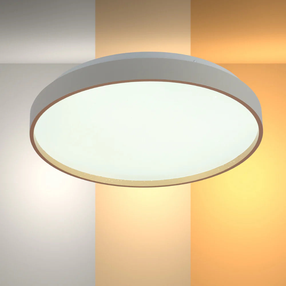 Elegant Contemporary Flush Mount LED Ceiling Light